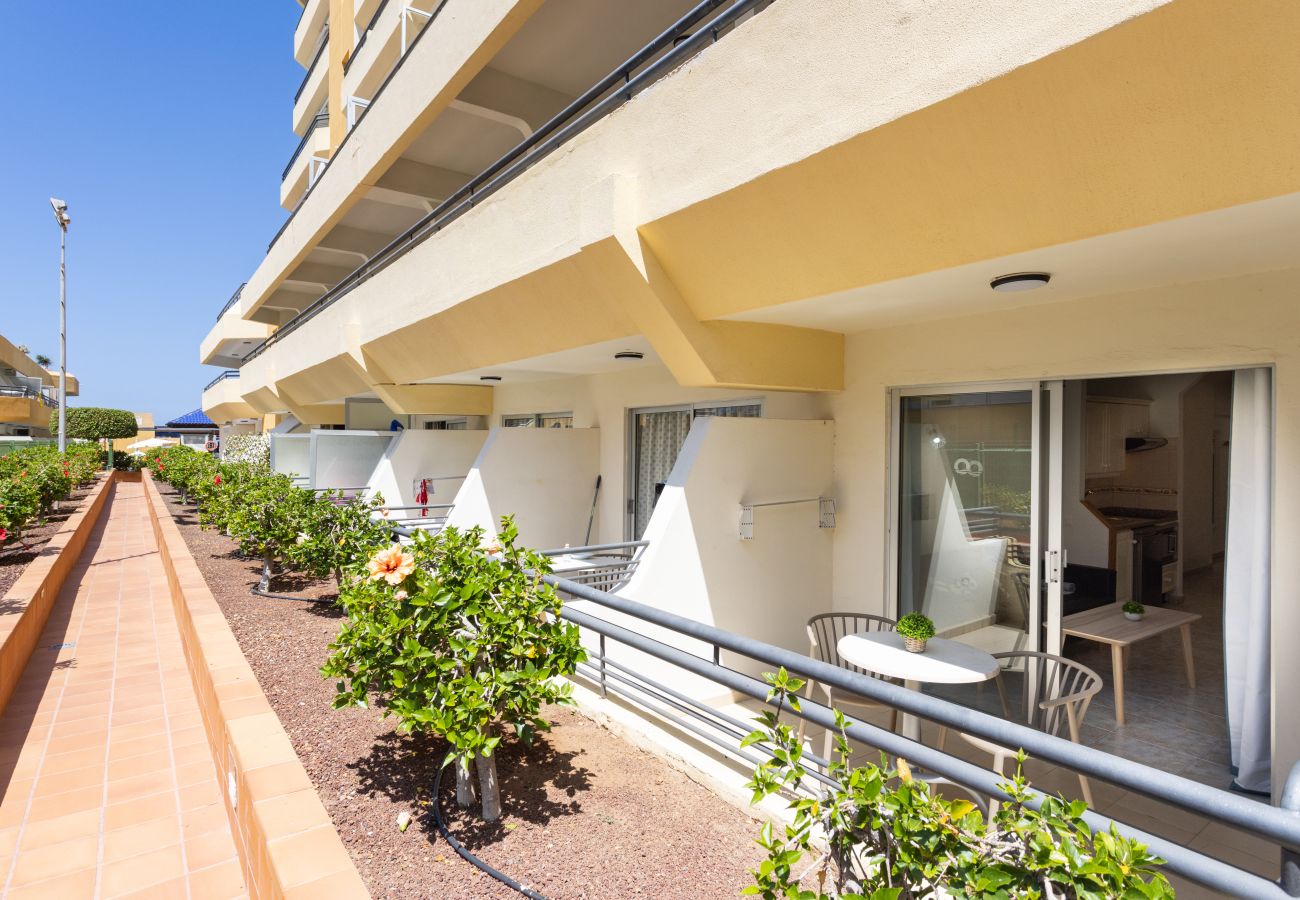 Estudio en Costa Adeje - COSTA ADEJE BEACH & SUN 2