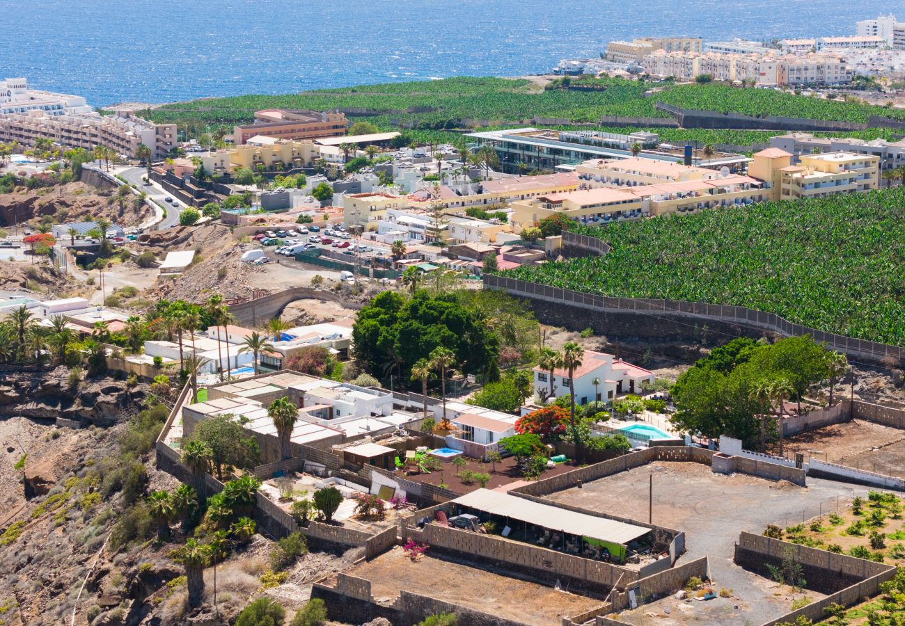 Finca en Adeje - PINQUITIN