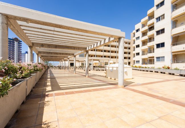 Apartamento en Adeje - Great sea view vacation home 2bd&pool. Sol Paraí Apartamento en Adeje - Great sea view vacation home 2bd&pool. Sol Paraí