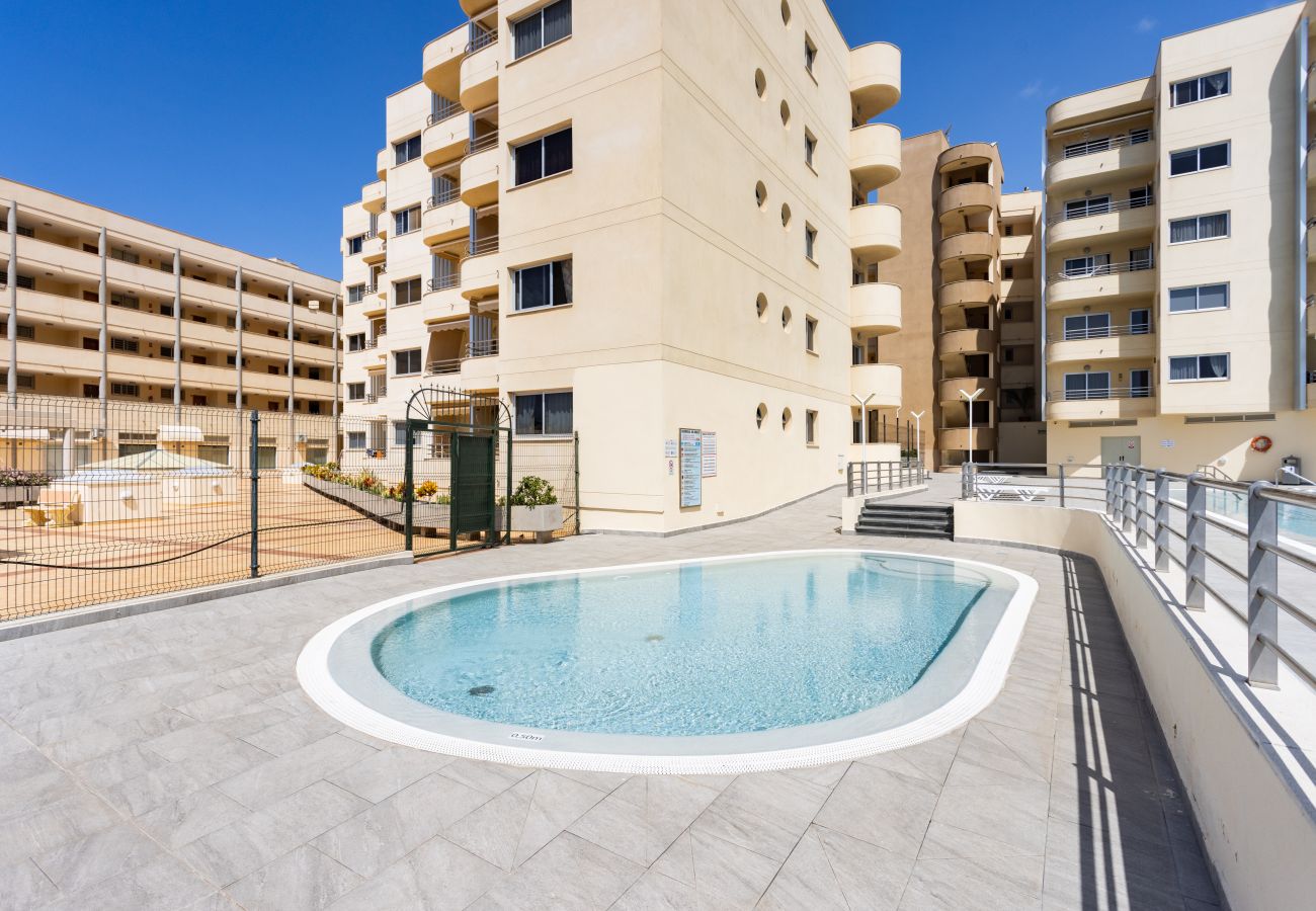 Apartamento en Adeje - Great sea view vacation home 2bd&pool. Sol Paraí