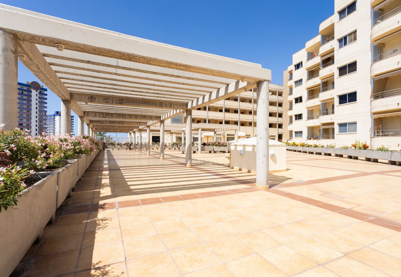 Apartamento en Adeje - Great sea view vacation home 2bd&pool. Sol Paraí