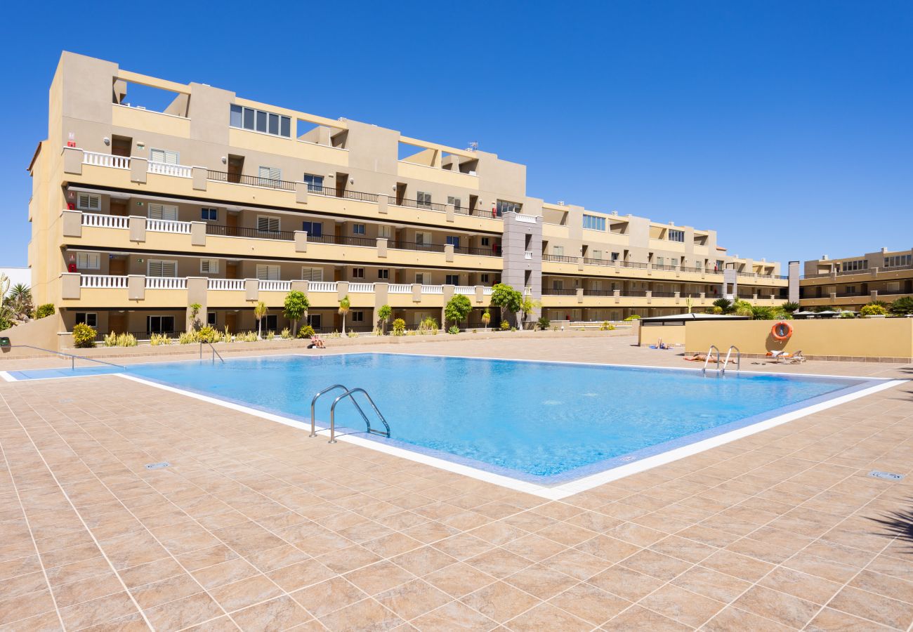 Apartamento en El Medano - Lovely seaview apartment. Swimming pool & parking.