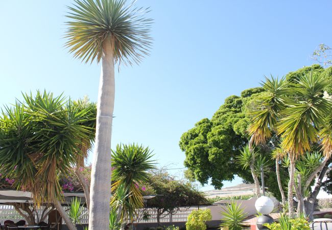 Cottage in Adeje - Magnifica casa canaria en Adeje Cottage in Adeje - Magnifica casa canaria en Adeje