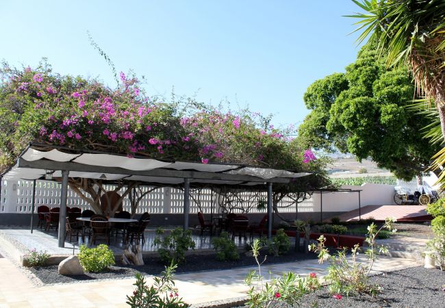 Cottage in Adeje - Magnifica casa canaria en Adeje Cottage in Adeje - Magnifica casa canaria en Adeje