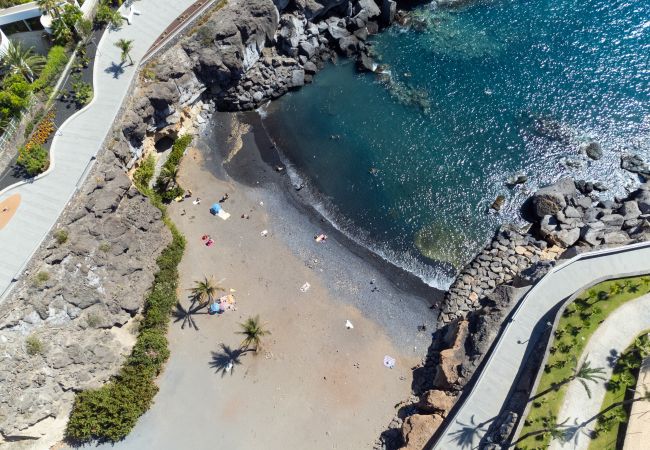 Apartment in Adeje - Wonderful 2 bd apartment with great terrace Apartment in Adeje - Wonderful 2 bd apartment with great terrace