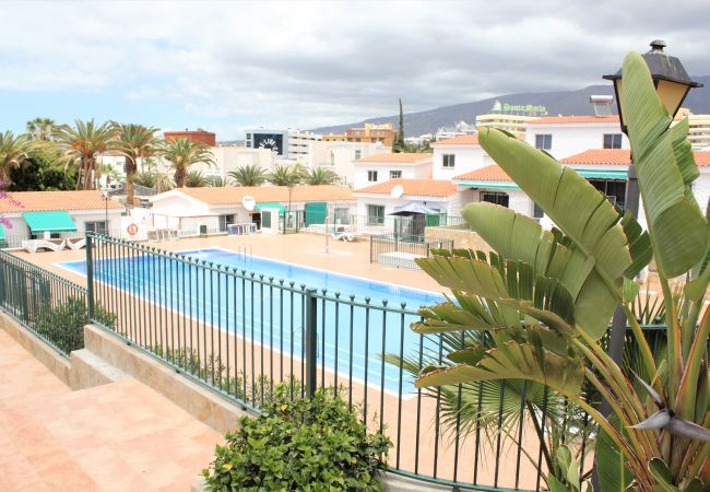 Apartment in Adeje - Great location, 2 bd and terrace in Las Americas Apartment in Adeje - Great location, 2 bd and terrace in Las Americas
