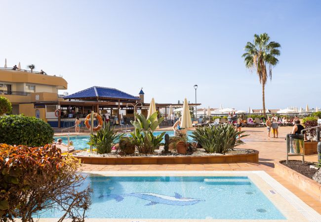 Studio in Costa Adeje - COSTA ADEJE BEACH & SUN SEA VIEW  1 Studio in Costa Adeje - COSTA ADEJE BEACH & SUN SEA VIEW  1