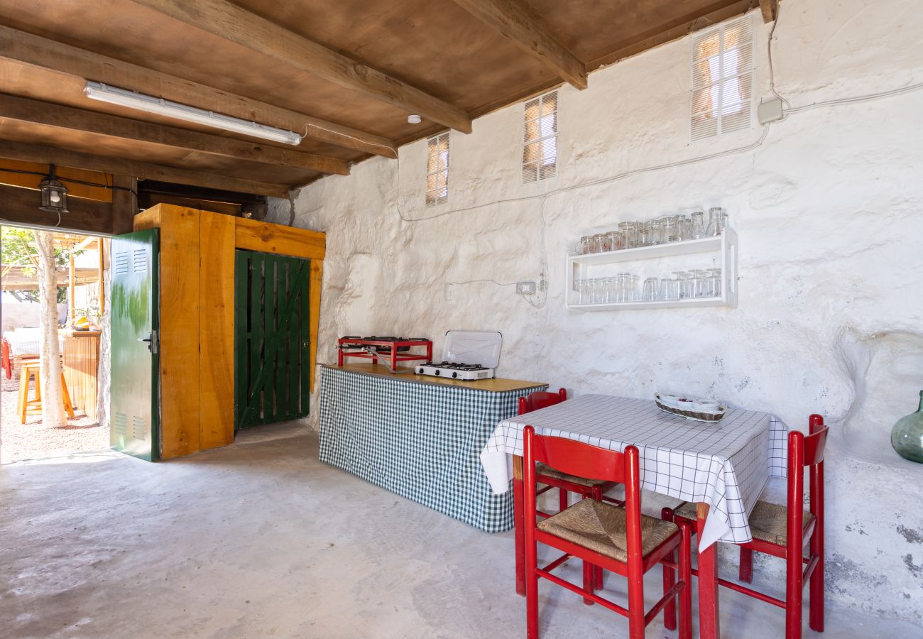 Country house in Adeje - PINQUITIN