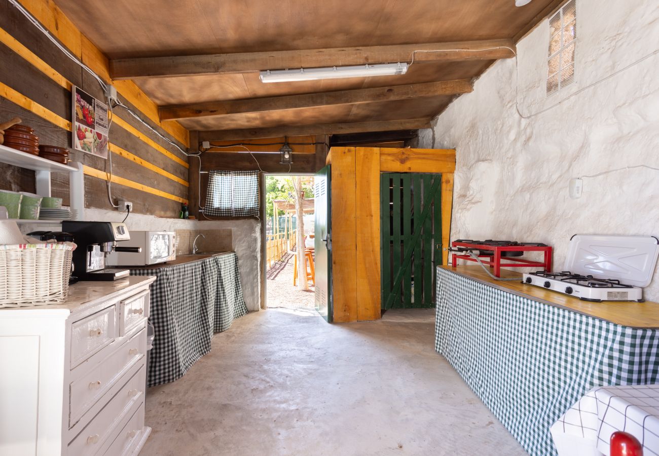 Country house in Adeje - PINQUITIN