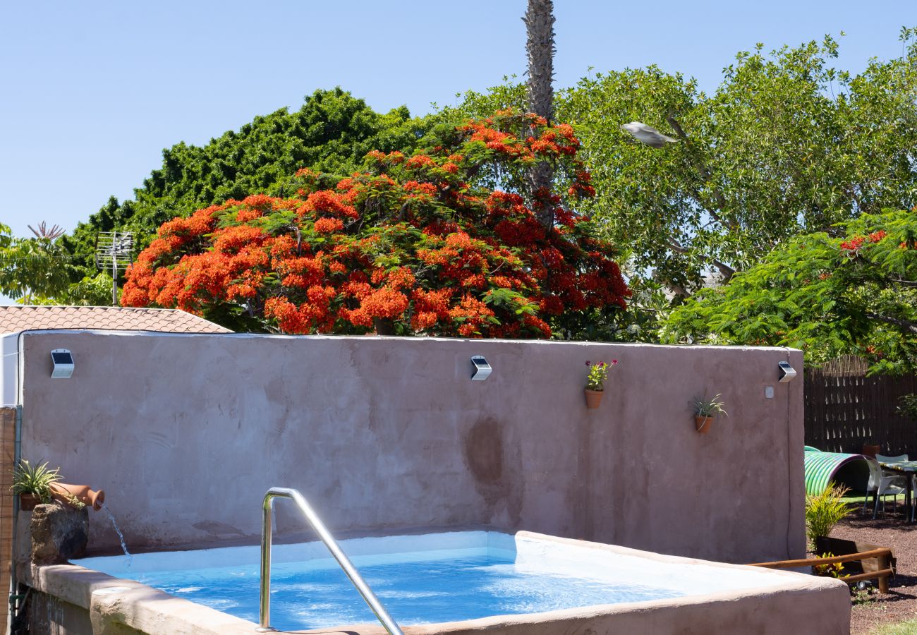 Country house in Adeje - PINQUITIN