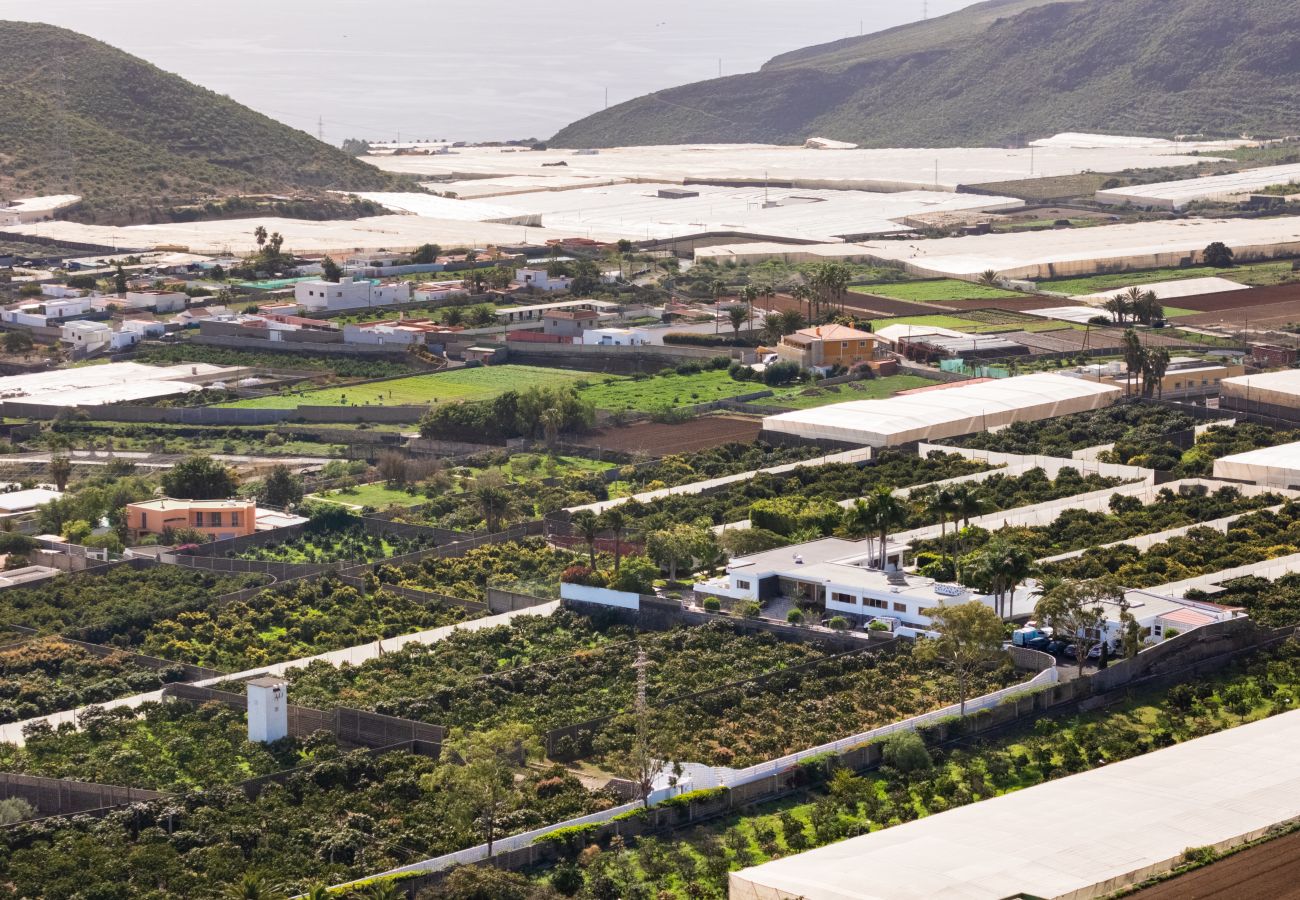 House in Güimar - Finca Los Llanos Piscina y relax