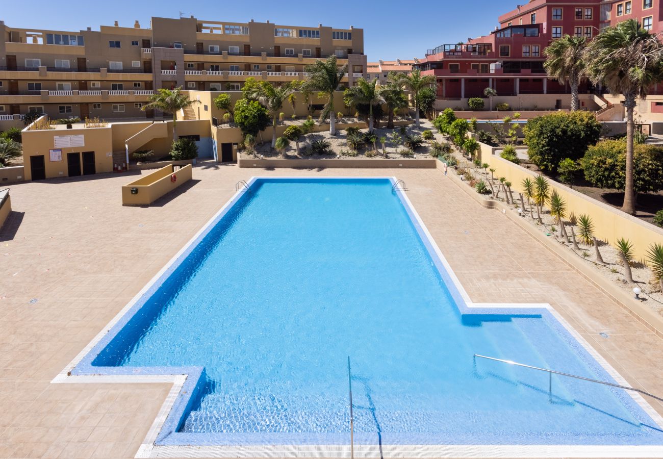 Apartment in El Medano - Lovely seaview apartment. Swimming pool & parking.
