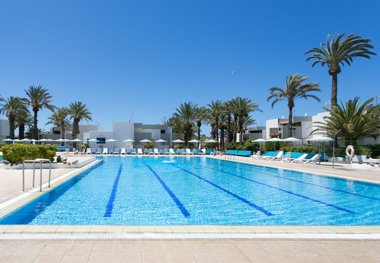 Apartment in Arona - ALMA LIBRE. Mar y piscina