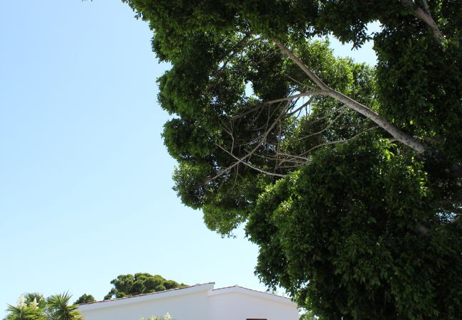 Gîte Rural à Adeje - Magnifica casa canaria en Adeje Gîte Rural à Adeje - Magnifica casa canaria en Adeje