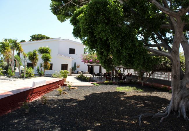 Gîte Rural à Adeje - Magnifica casa canaria en Adeje Gîte Rural à Adeje - Magnifica casa canaria en Adeje