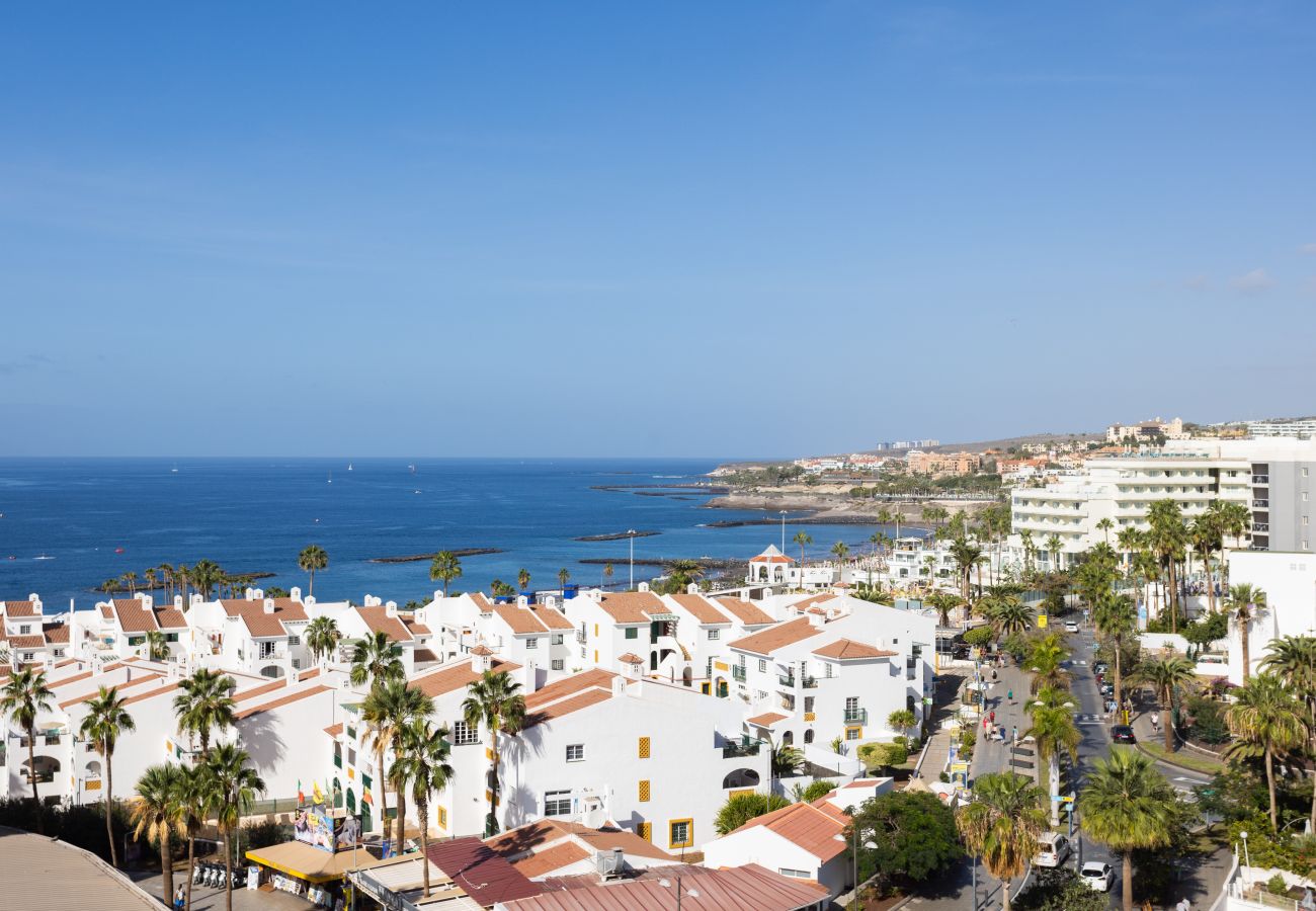 Studio à Costa Adeje - COSTA ADEJE BEACH & SUN SEA VIEW 3