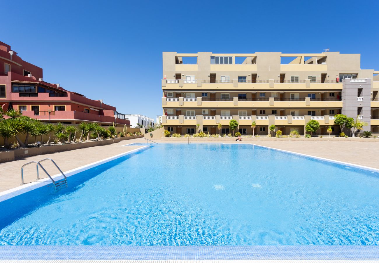 Appartement à El Medano - Lovely seaview apartment. Swimming pool & parking.