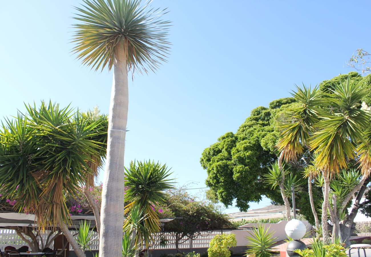 Casa rurale a Adeje - Magnifica casa canaria en Adeje