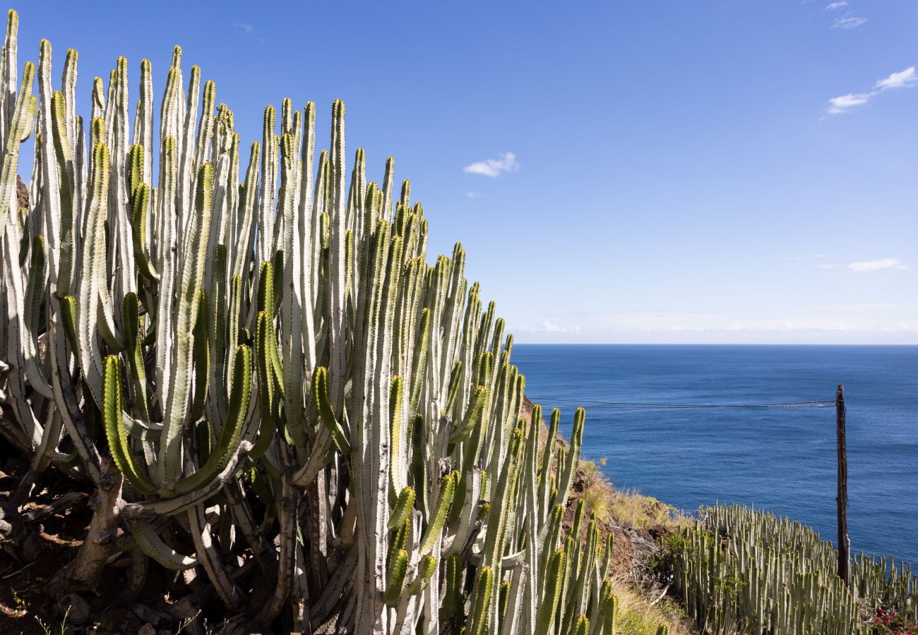 Appartamento a Radazul - Fantásticas vistas al mar. Playa y piscina