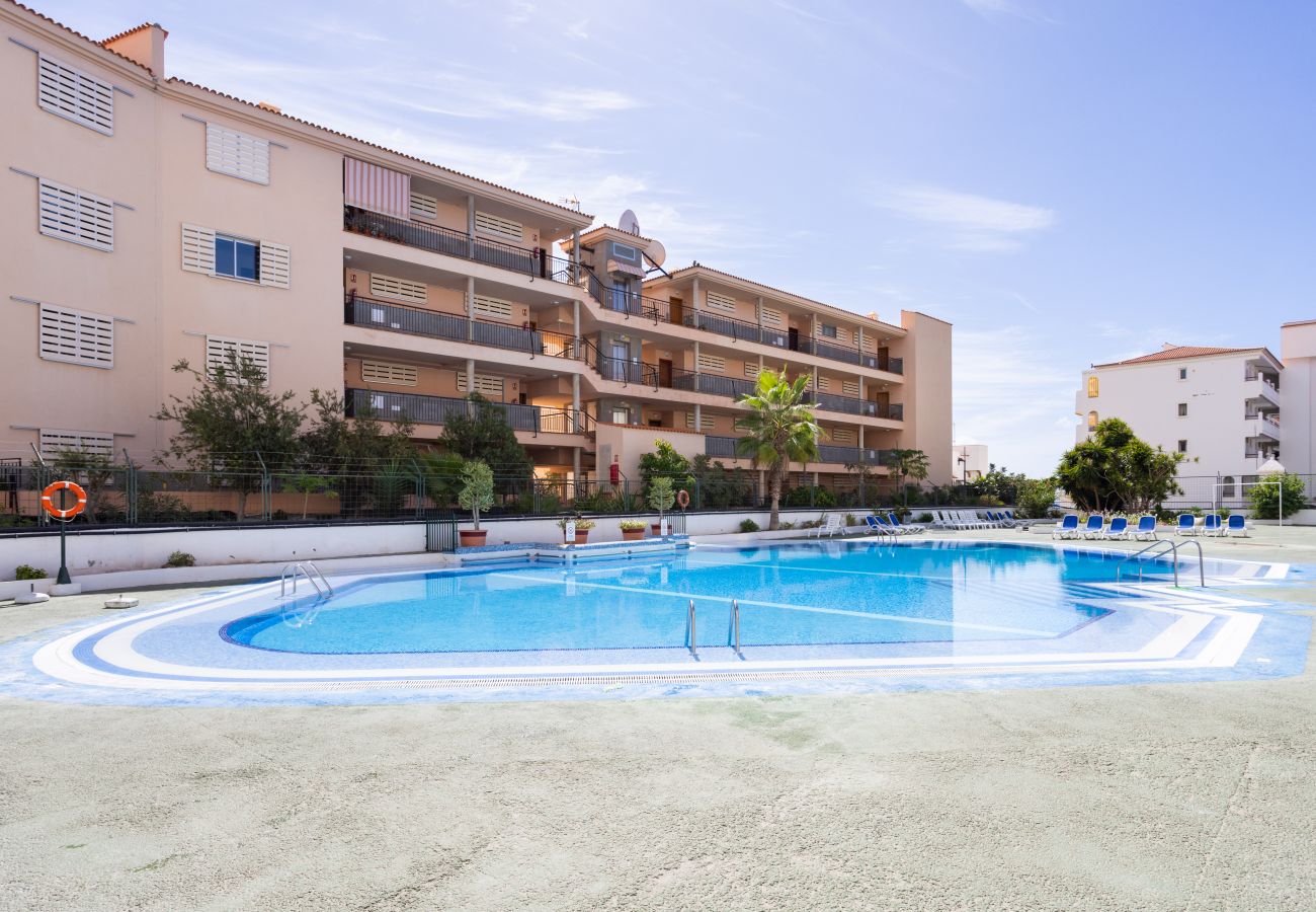 Appartamento a Los Cristianos - Ocean view & Pool. Los Cristianos Summerland