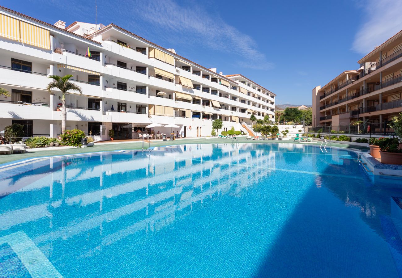 Appartamento a Los Cristianos - Ocean view & Pool. Los Cristianos Summerland