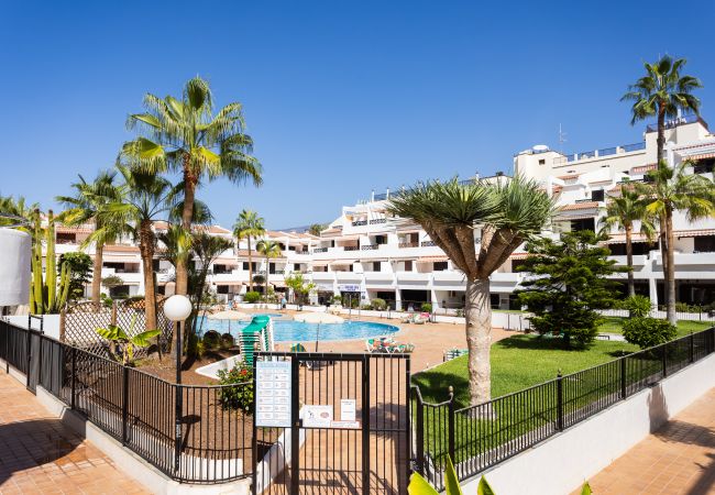 Appartamento a Los Cristianos - Superb pool view & next to ocean Los Cristianos Appartamento a Los Cristianos - Superb pool view & next to ocean Los Cristianos