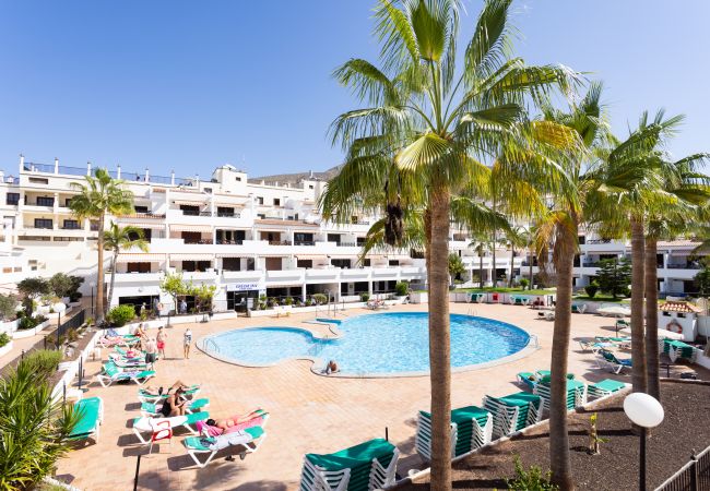 Appartamento a Los Cristianos - Superb pool view & next to ocean Los Cristianos Appartamento a Los Cristianos - Superb pool view & next to ocean Los Cristianos