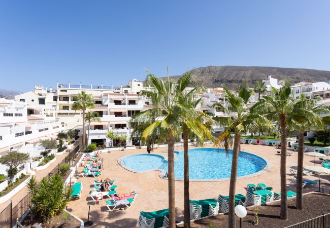 Appartamento a Los Cristianos - Superb pool view & next to ocean Los Cristianos Appartamento a Los Cristianos - Superb pool view & next to ocean Los Cristianos