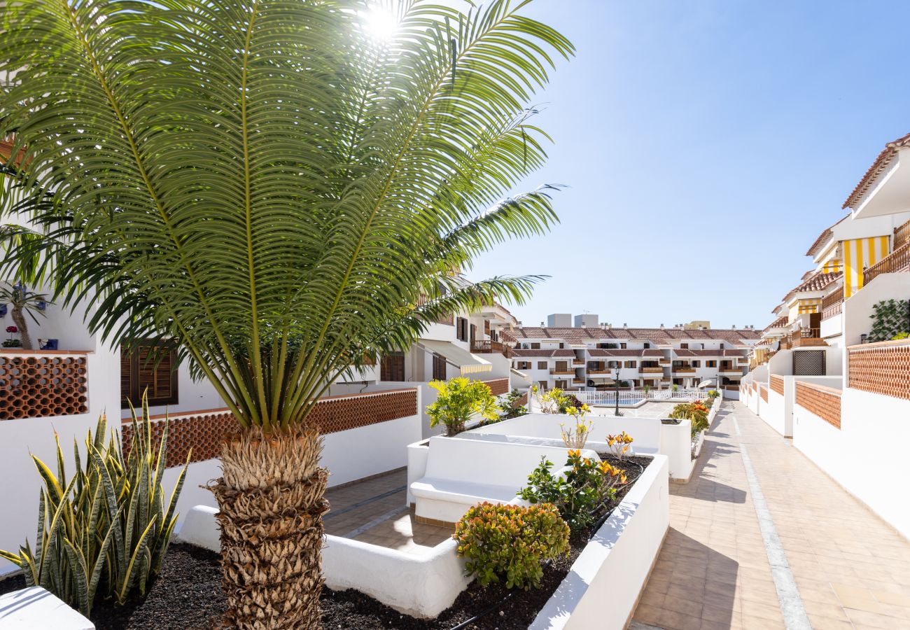 Appartamento a Arona - Apartamento Playa de Las Vistas. Los Cristianos